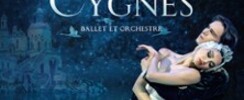 Le Lac des Cygnes - Ballet & Orchestre - Tournée 2026