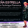 Stages de danse Flamenco: Technique